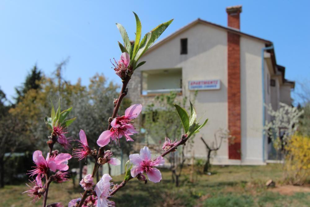 Apartments Sandra Rovinj Luaran gambar
